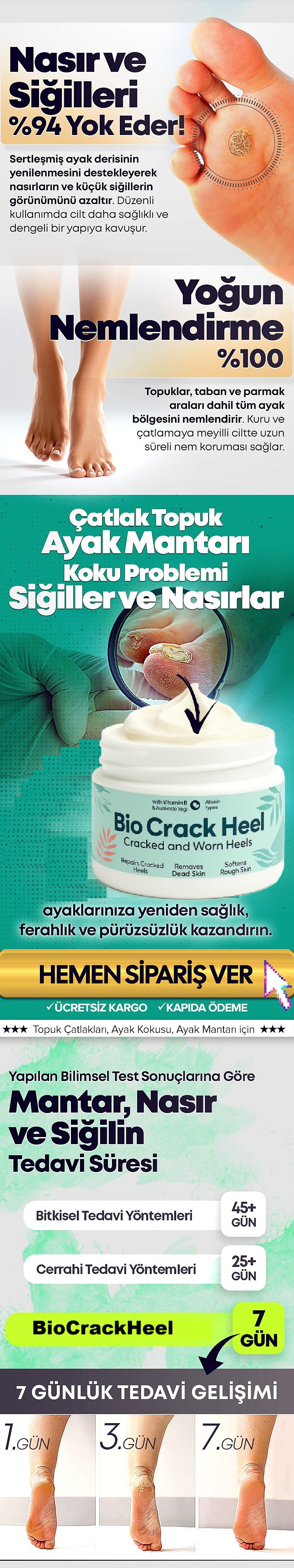 Başlık